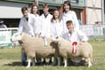 Live coverage of the last day of Royal Welsh Show 2016
