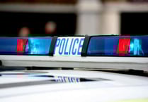 Police appeal after fatal forestry crash