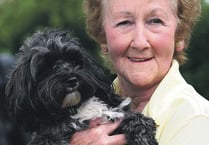 Star visitor Sam's the best medicine on wards