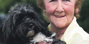 Star visitor Sam's the best medicine on wards