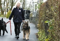 Bid to rescue starving dog from Spain