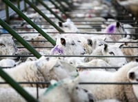 Farming industry had its say on new rules, says Welsh Government