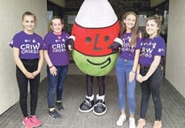 Pupils enjoy success at Urdd