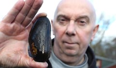 Hatchery takes major step towards reviving UK’s mollusc population