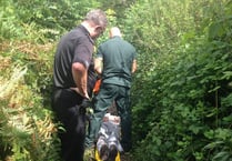 Woman, in her 80s, taken to hospital after falling on mountain path