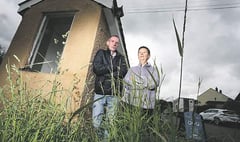 Grass finally cut after hurry-up from top councillor