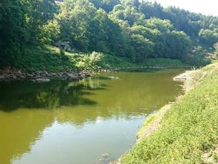 Powys farmers hit back at Wye algae allegations