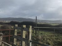 Plea to farmers from Network Rail over wandering livestock