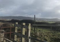 Plea to farmers from Network Rail over wandering livestock