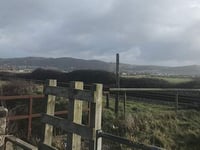 Plea to farmers from Network Rail over wandering livestock