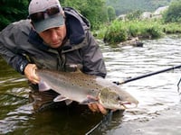 Wye and Usk salmon fishermen told to 'carry on as you are - for now'