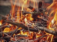Forestry fire believed to have been started deliberately