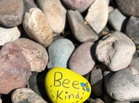 MS calls for people to be kind during challenging times