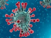 New study finds Coronavirus transmission highest in households and hospitality