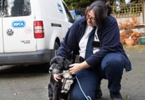 RSPCA issues warning to be alert after impersonation of officers