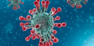 Concern as Delta variant is now the most common in new cases in Wales as numbers rise to 315