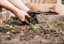 Community Gardens Award re-opens for applicants