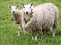 Practical guide to monitoring soil carbon launched by Duchy College