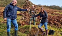 MS Jane Dodds plants a tree at a Llanwrtyd Wells farm as part of union campaign