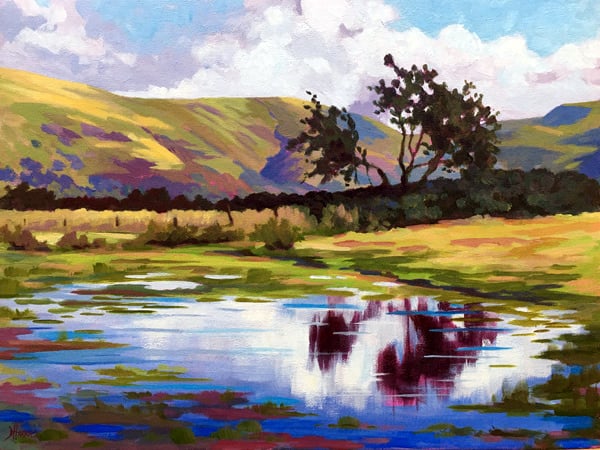 Dawn Harries - Quiet Reflection