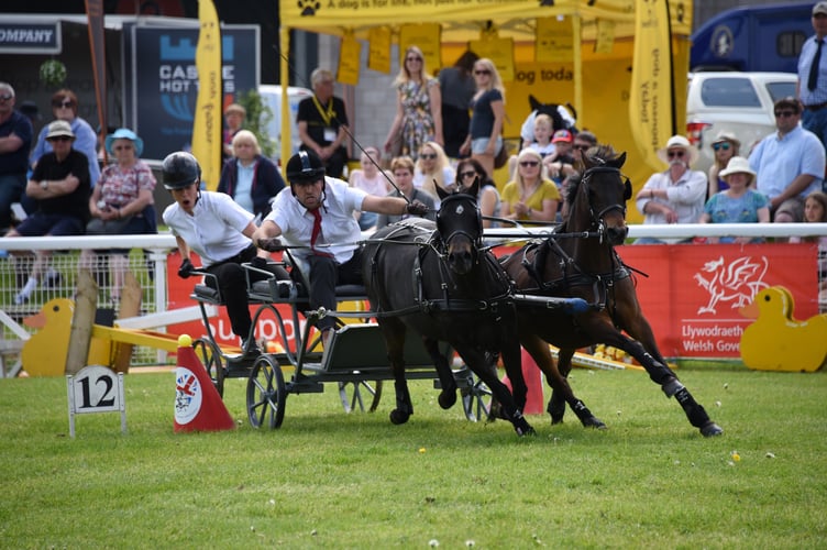 Carriage riding at the showground.