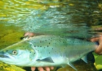 New fishing byelaws introduced on Wye and Usk