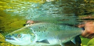 New fishing byelaws introduced on Wye and Usk