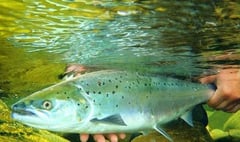 New fishing byelaws introduced on Wye and Usk