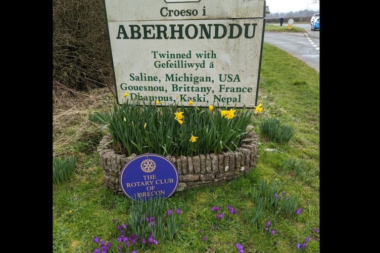 Crocus flowers growing near the Welcome to Brecon sign