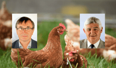 Plans to double the size of chicken farm approved