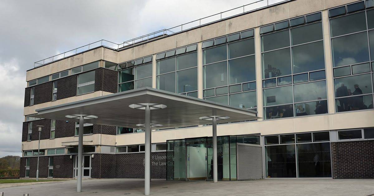 Man admits Rhayader assault and knife threats