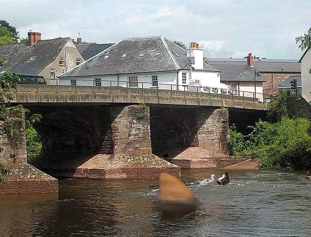 Angler’s horror as bull shark spotted in the river Usk
