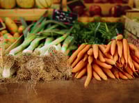 Ambitious fruit and veg growing project off to a flying start