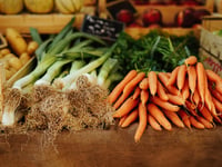 Ambitious fruit and veg growing project off to a flying start
