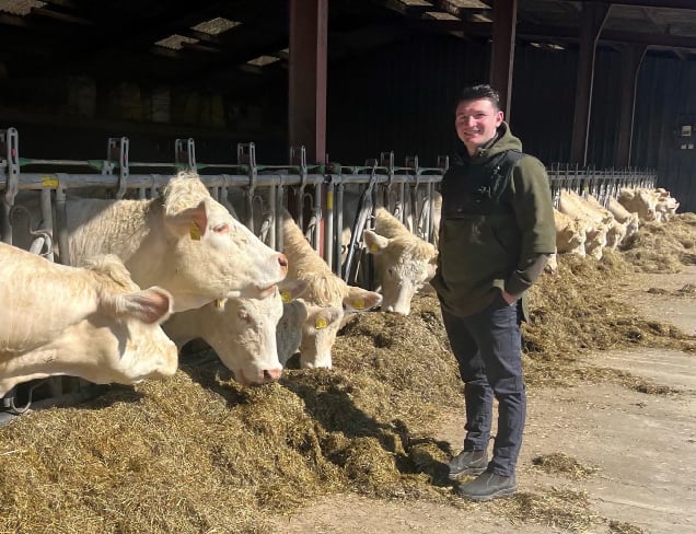 Farmer with his cows