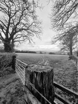 A stunning photograph sent in by Sarah Newman of the Black Mountains in the distance from a mossy gate post near Talachddu.