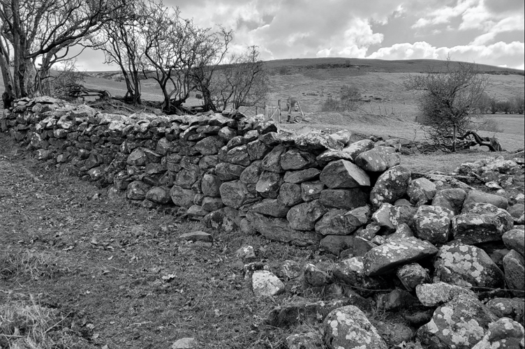 This is our picture of the week that was sent in by Zoe Mathias. The theme was Black and White photographs.