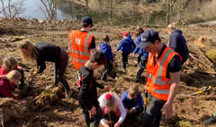 Children help restore ancient woodland features to the Elan Valley