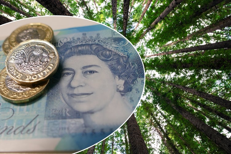 Cash inset over trees