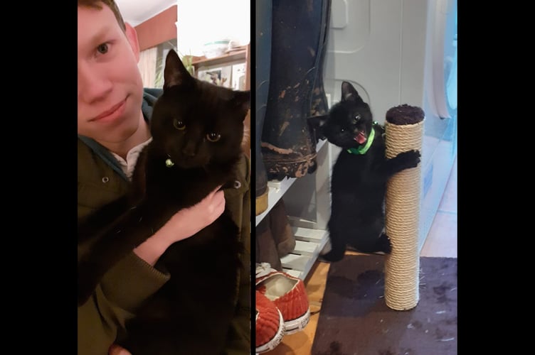 Left is Milo with Luc - right is Milo as angry kitten