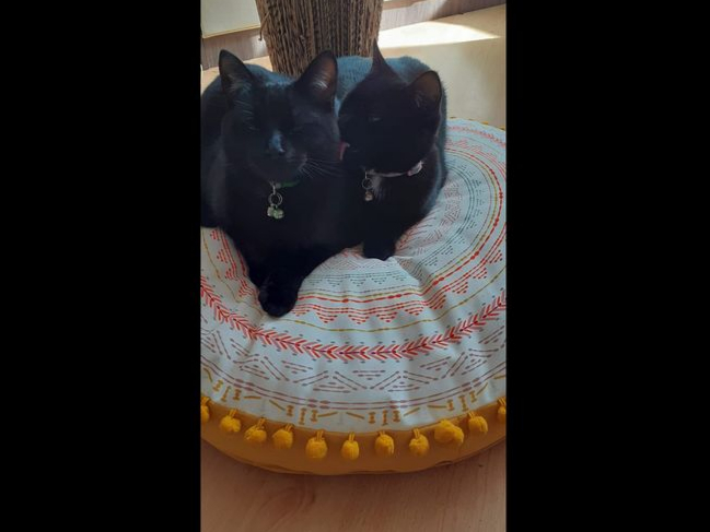 Milo with this twin sister Gilou