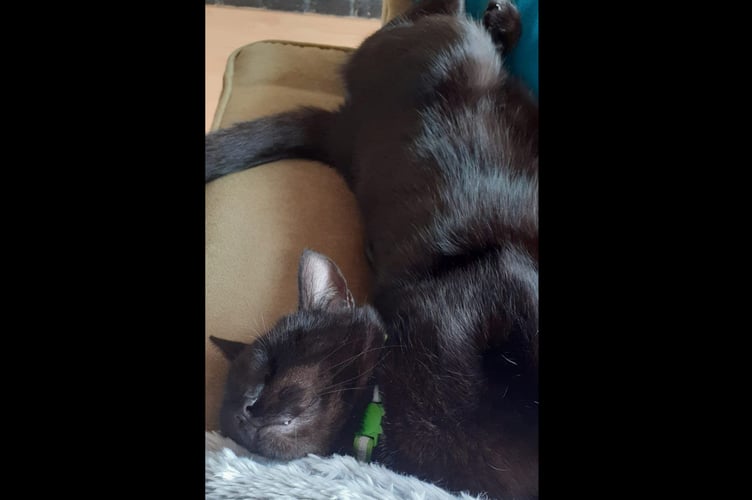 Milo