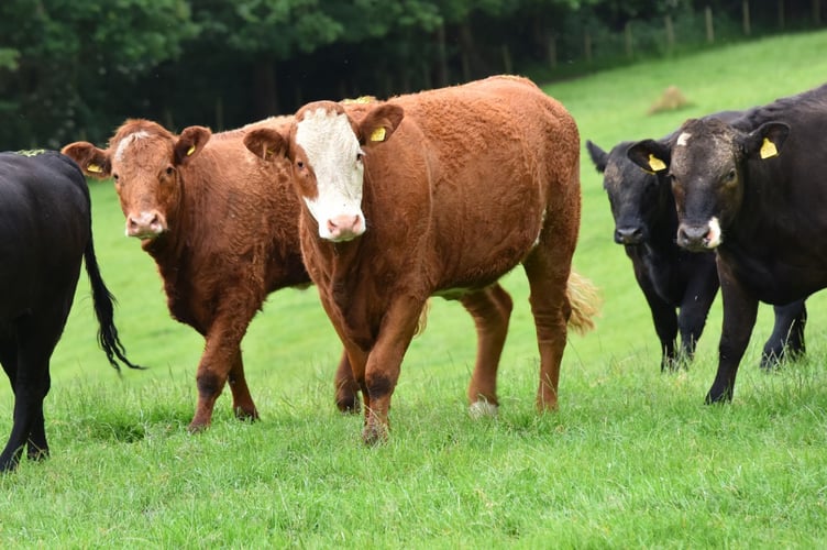 Farming