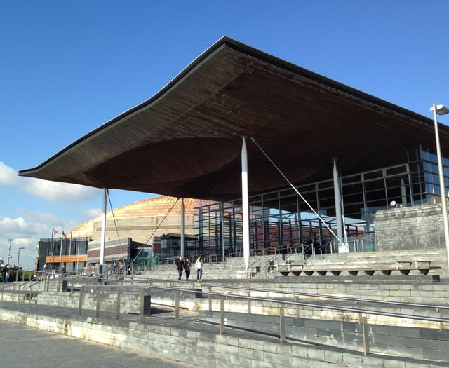 Complaints against Senedd members drop by 79 per cent in the last year