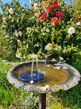 BirdBath