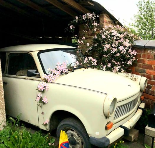 Car Flowers