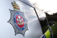 Driver killed in early morning crash prompts police appeal