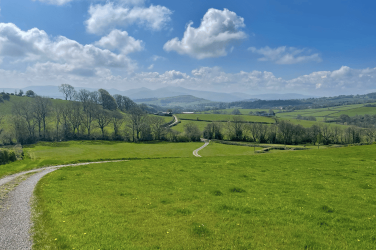Landscape