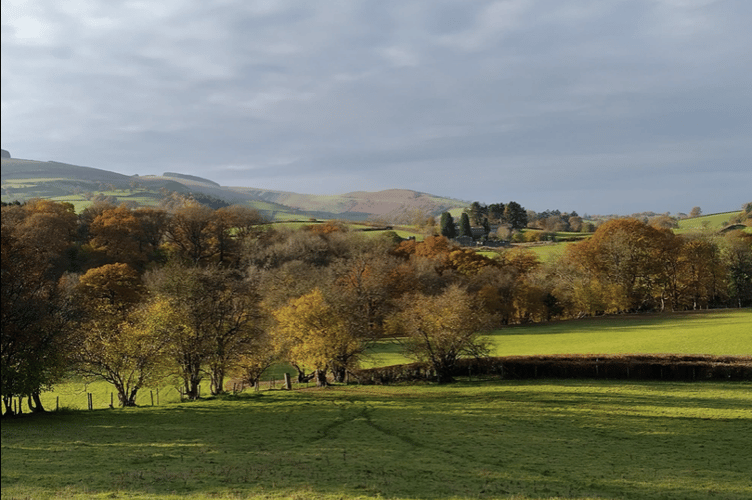 Looking towards Epynt ... (PT)