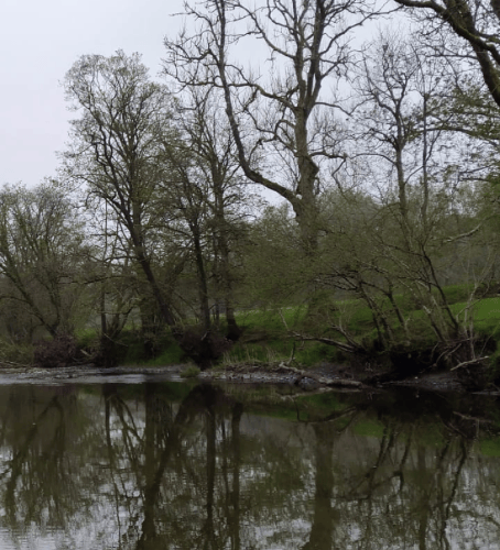Reflections on the Irfon river..